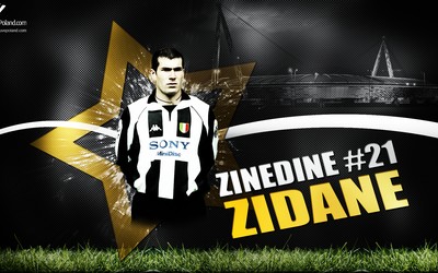 龙珠体育-佩佩还能回来吗